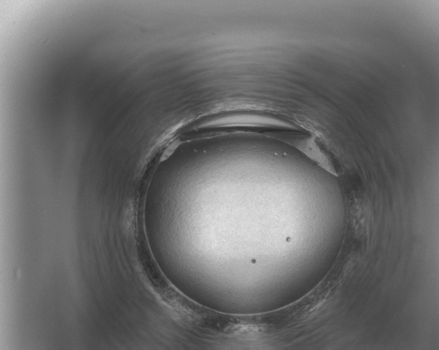 X0000067390352200604071759