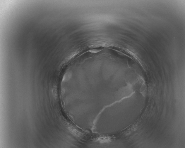 X0000067390353200604071759