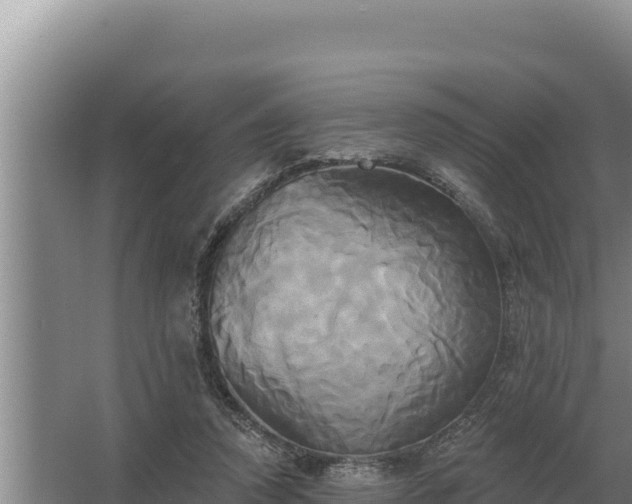 X0000067390354200604071759