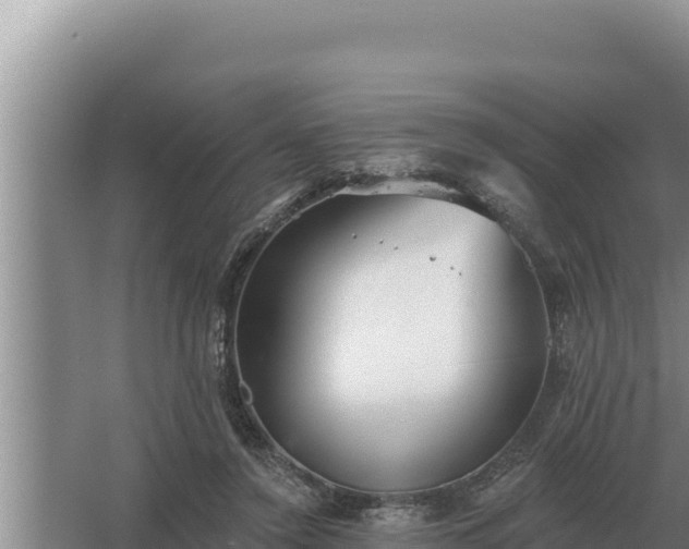 X0000067390356200604071759