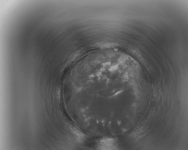 X0000067390357200604071759