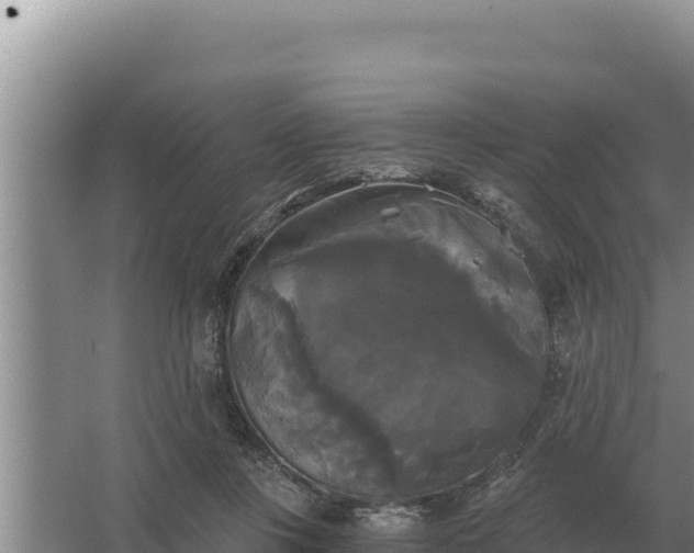 X0000067390359200604071759