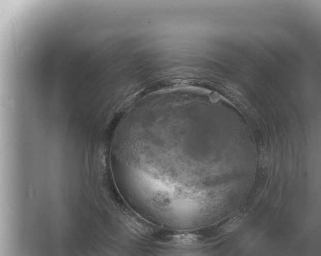 X0000067390363200604071759