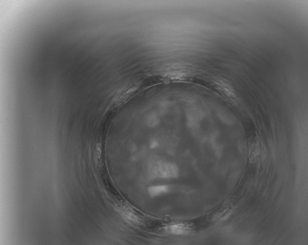 X0000067390365200604071759