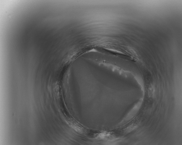 X0000067390366200604071759