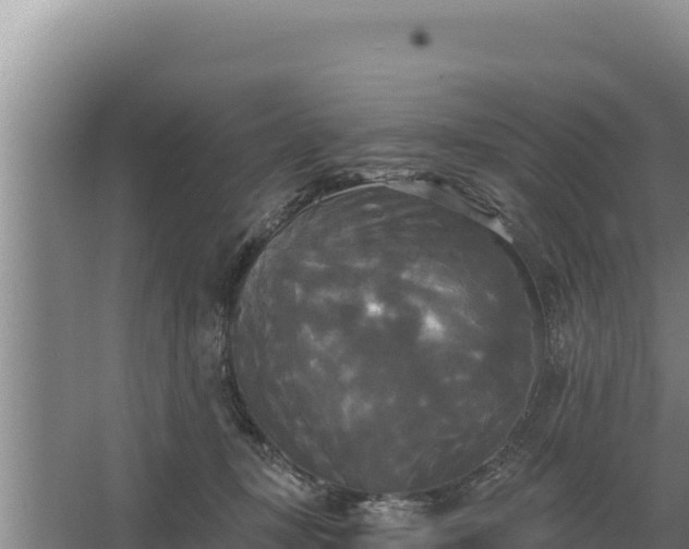 X0000067390367200604071759