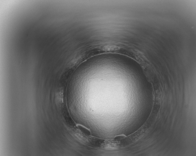 X0000067390368200604071800