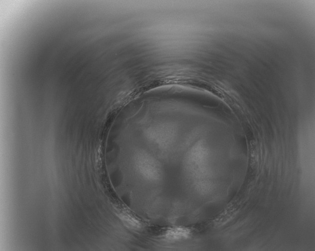 X0000067390369200604071800