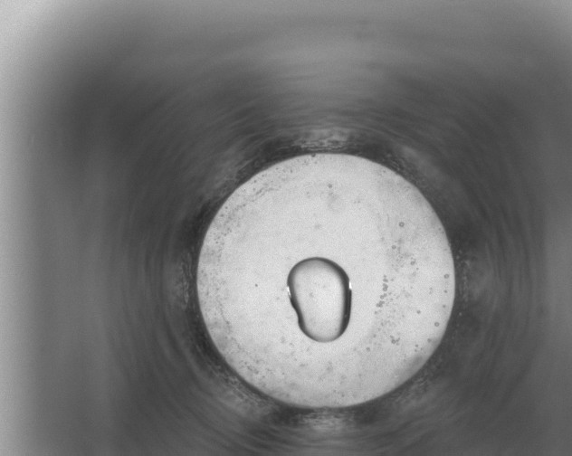 X0000067390370200604071800