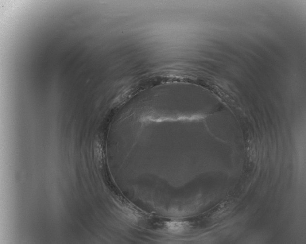 X0000067390371200604071800