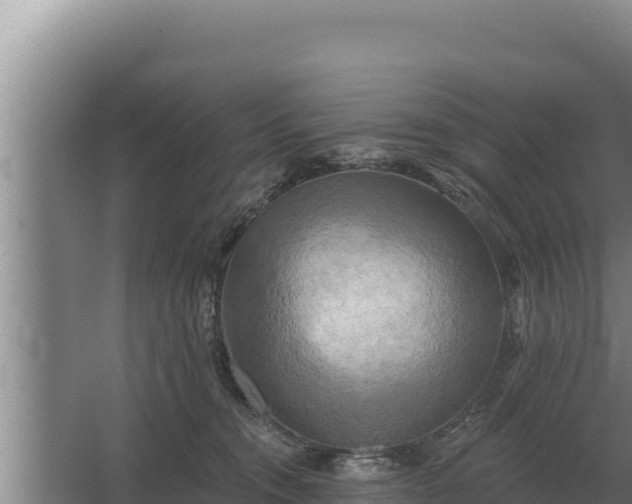 X0000067390372200604071800