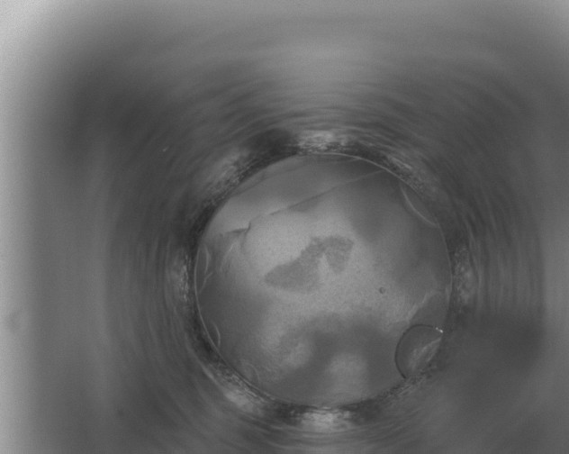 X0000067390375200604071800