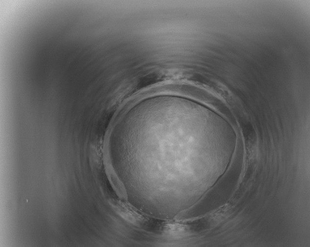 X0000067390376200604071800