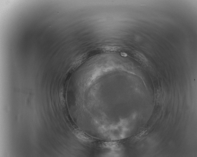 X0000067390377200604071800