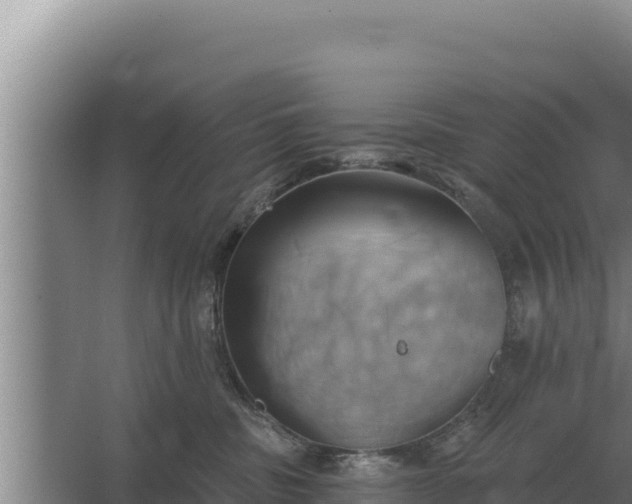 X0000067390379200604071800