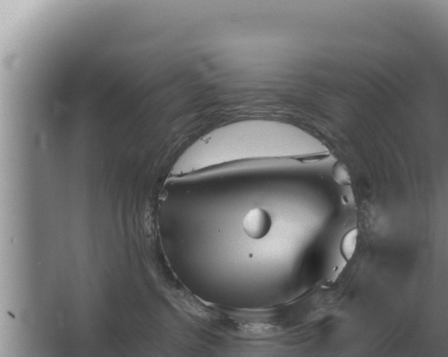 X0000067390380200604071800