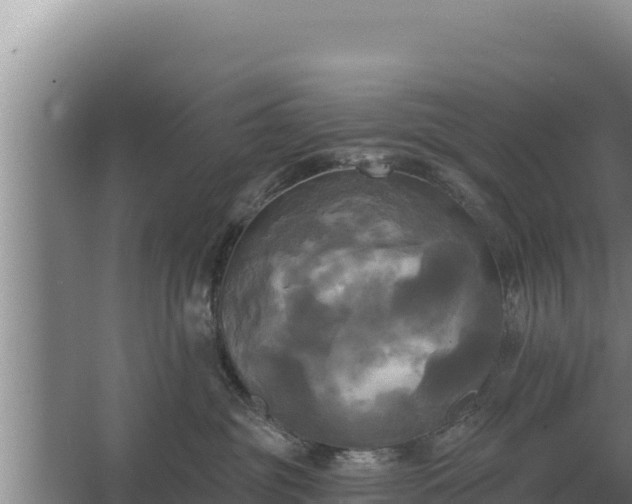 X0000067390381200604071800