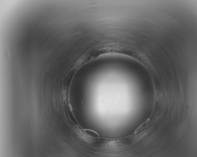 X0000067390382200604071800