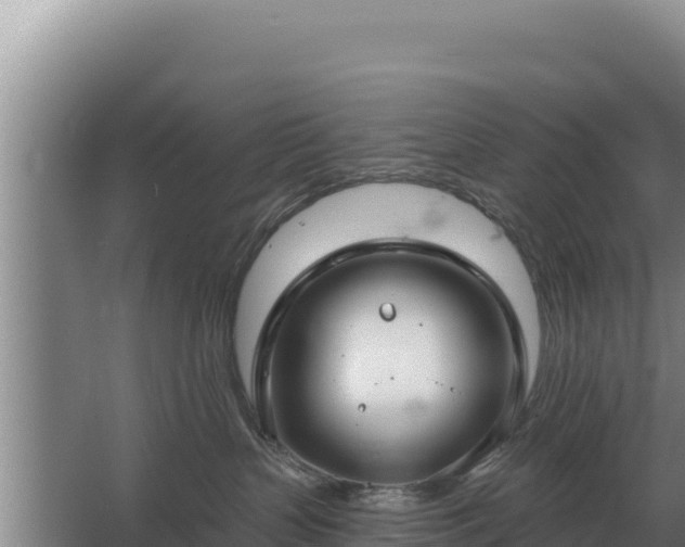 X0000067390383200604071800