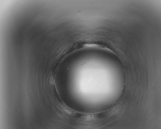 X0000067390384200604071800