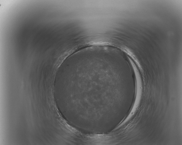 X0000067390385200604071759