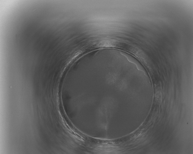 X0000067390386200604071759