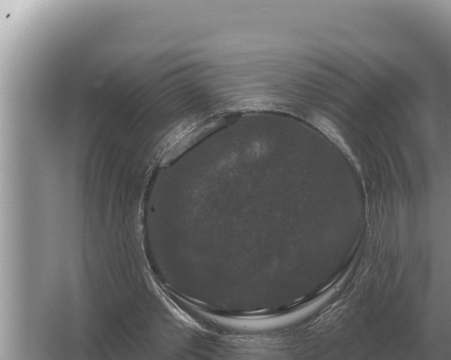 X0000067390389200604071759