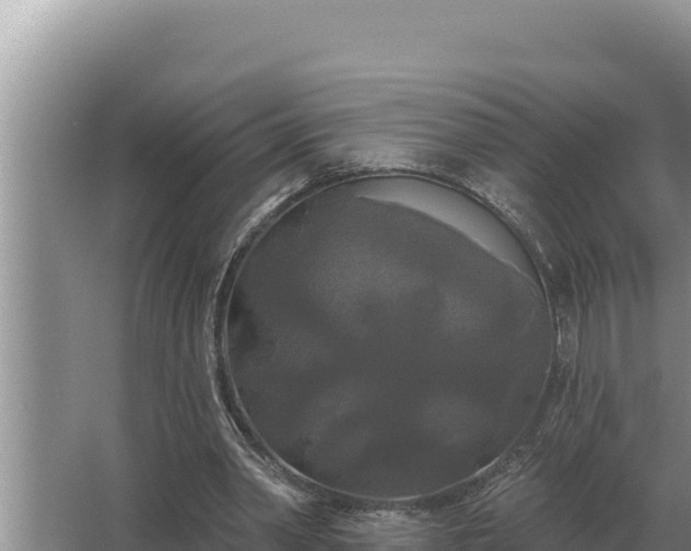 X0000067390390200604071759