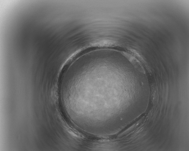 X0000067390392200604071759