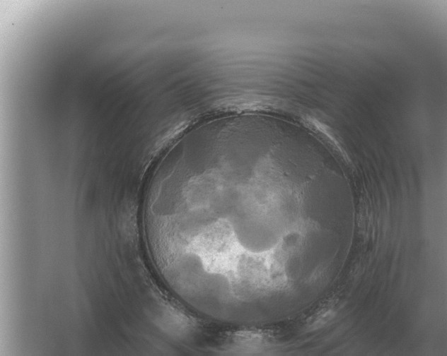 X0000067390394200604071759