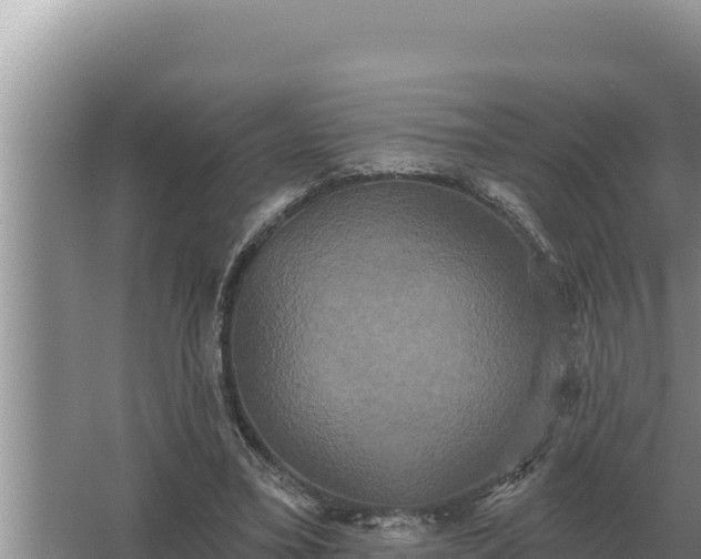 X0000067390395200604071759