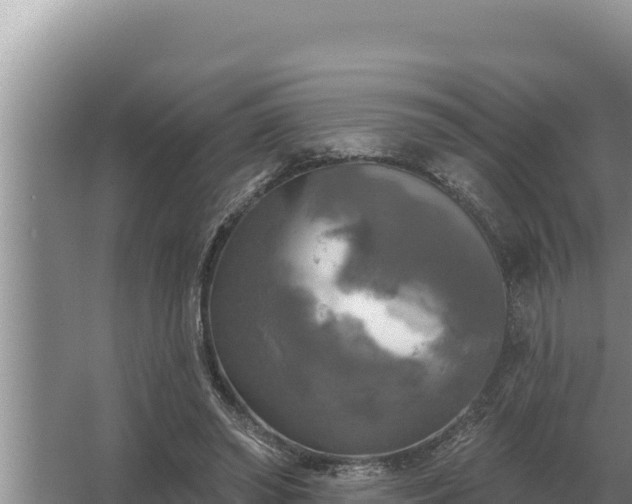 X0000067390398200604071759