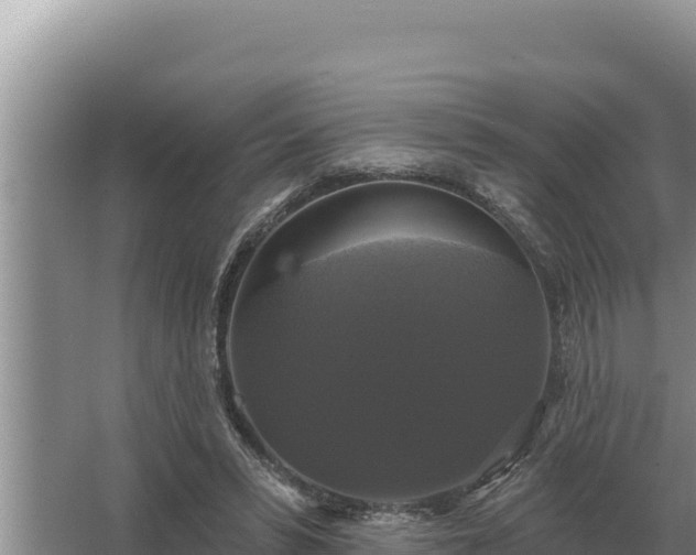 X0000067390399200604071759