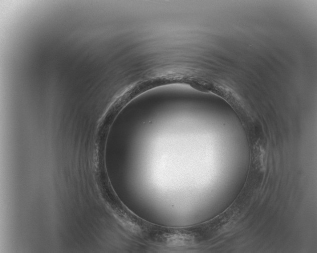 X0000067390400200604071759