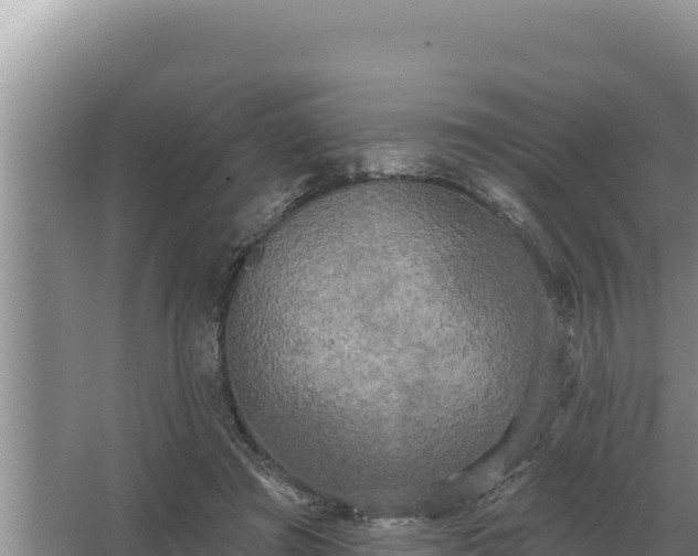 X0000067390401200604071759