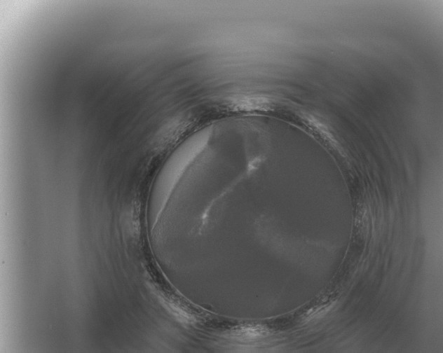 X0000067390402200604071759