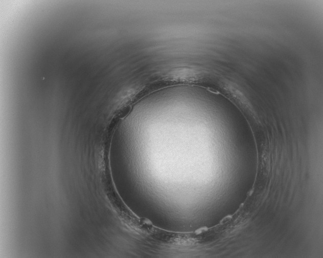 X0000067390403200604071759