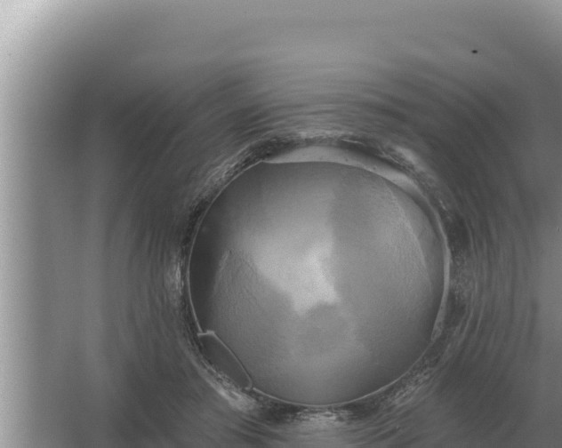 X0000067390405200604071759