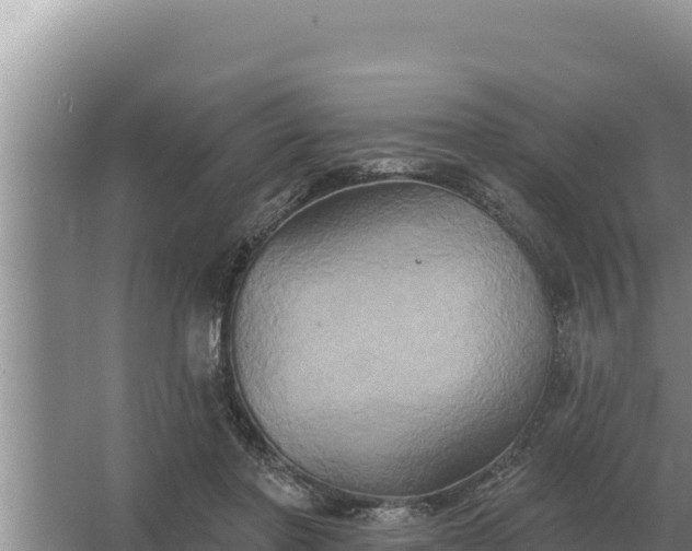 X0000067390406200604071759