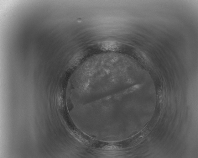 X0000067390408200604071759