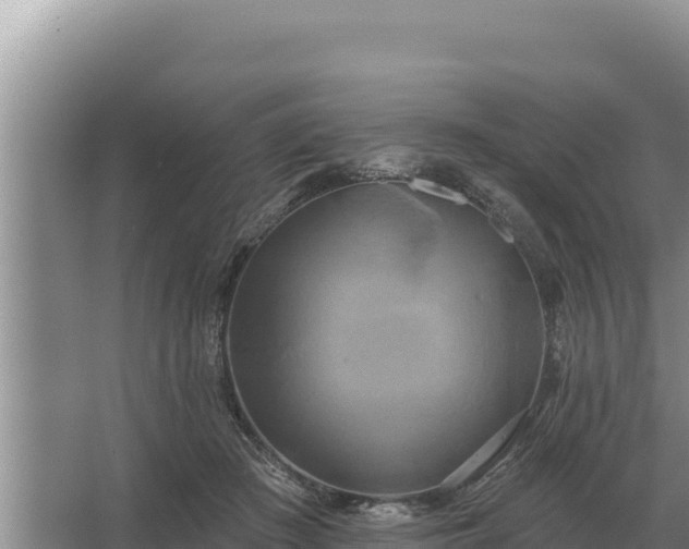 X0000067390409200604071759