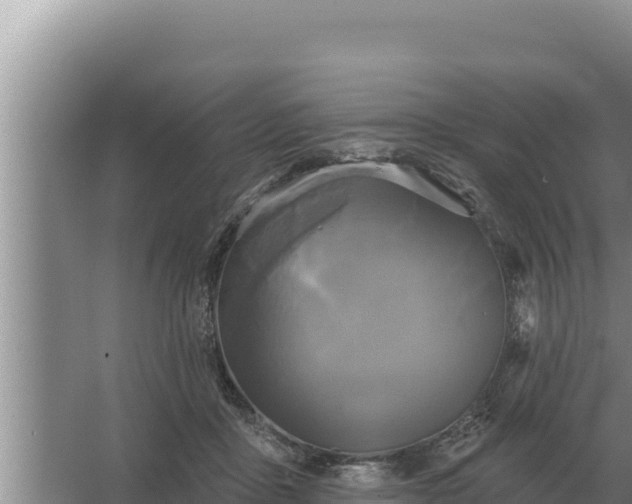 X0000067390411200604071759