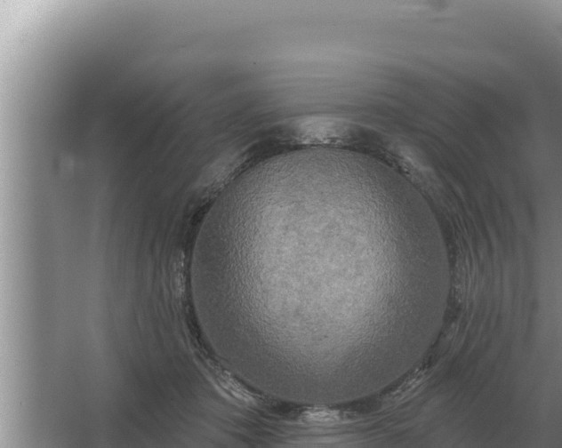 X0000067390413200604071758