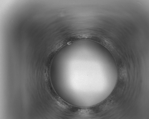 X0000067390414200604071758