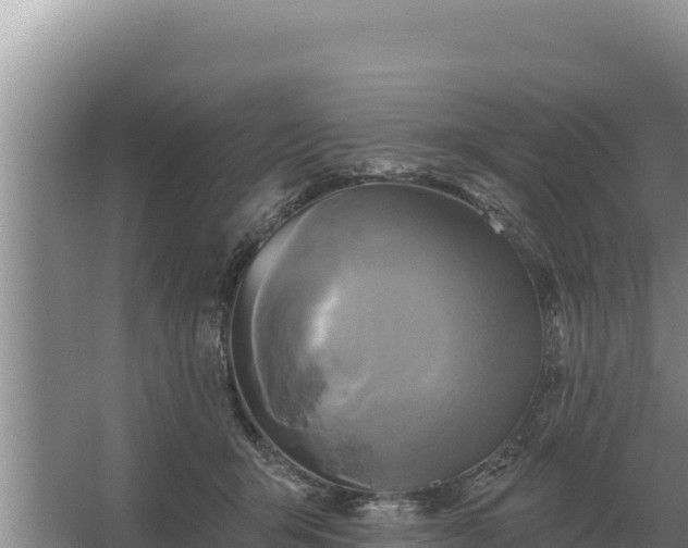 X0000067390415200604071758