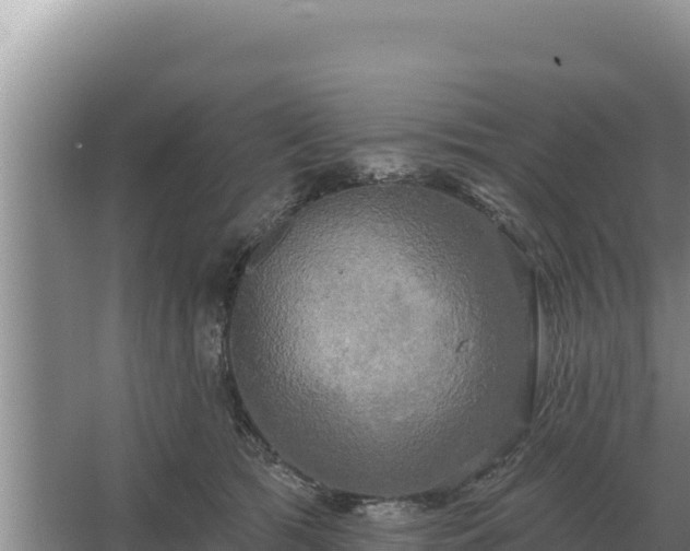 X0000067390417200604071758