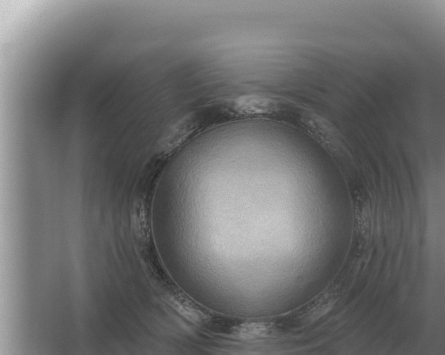 X0000067390418200604071758