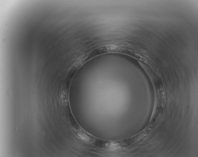 X0000067390419200604071758