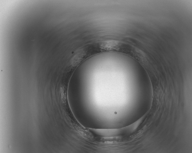 X0000067390420200604071758