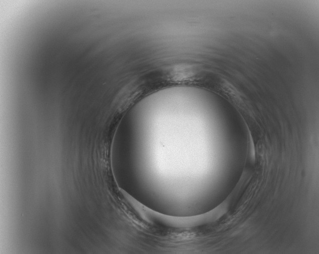 X0000067390421200604071758